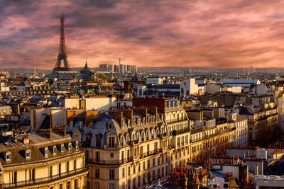 Из Лондона: люкс-поездка в Париж на день | GetYourGuide