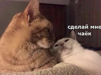 Парню с намеком