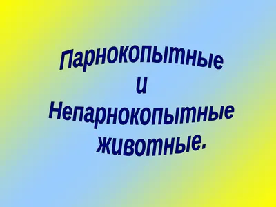 Лошади - парнокопытные животные или нет?