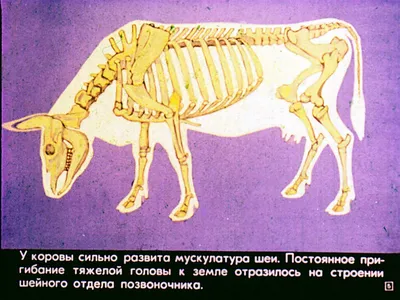 Блог Сидорова Олега - любителя фотографии и не только... — LiveJournal