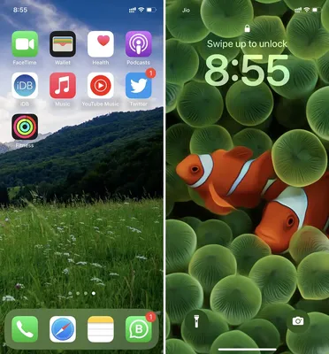 Wallpaper for your phone | Обои, Зеленые обои, Обои на рабочий стол