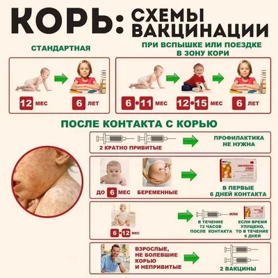 Medbooking on X: \"Эпидемический паротит или свинка.Причина и лечение,  читаем в статье: http://t.co/xuiejz7yXF #medbooking #паротит  http://t.co/1PuUD1MJTn\" / X