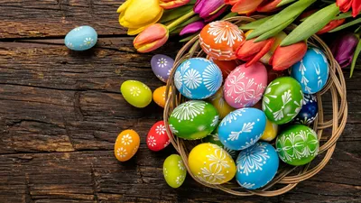 Скачать обои eggs, holiday, spring, flowers, happy, tulips, тюльпаны, Пасха,  яйца, Easter, wood, colorful, разде… | Easter eggs, Easter colors, Coloring  easter eggs