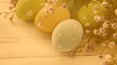 картинки : Пища, цвет, день отдыха, Красочный, заяц, лицо, весело, уши,  веселая, Пасха, Цветной, пасхальные яйца, пасхальное яйцо, счастливой Пасхи,  Уши кролика 2878x1821 - - 816830 - красивые картинки - PxHere