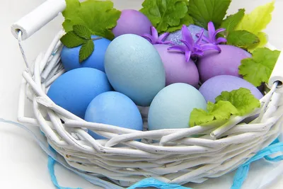 За яйцами! Поиск яиц и другие пасхальные традиции
