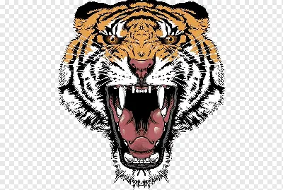 мультфильм тигровая пасть, тигр, зубы глаза, животное png | PNGWing