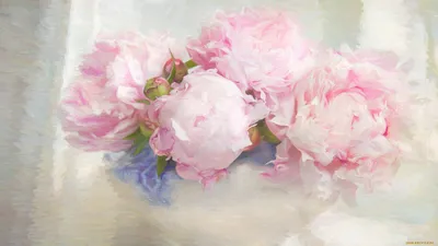 Фото обои красивые 460x300 см 3D Искусственные пастельные цветы роз в стиле  Бохо (13998P12)+клей купить по цене 1800,00 грн
