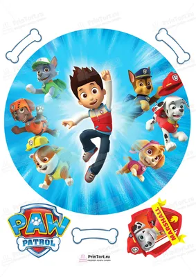 Рецензия на мультфильм «Щенячий патруль в кино» / PAW Patrol: The Movie