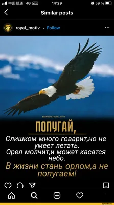 Смотреть Сериал Пацанские истории / (2021) 1 сезон онлайн бесплатно на  seasonvar!