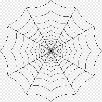 шаблон оформления паутины, паук, паутина, сеть png | Klipartz