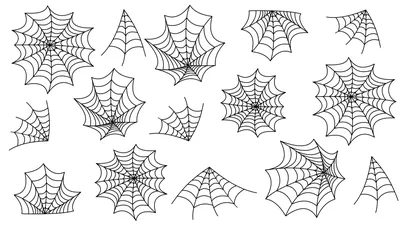 Паутина 100 грамм и 60 пауков, набор декораций на Хэллоуин - купить по  доступным ценам в интернет-магазине OZON (797802582)