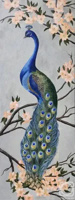 Хвост павлина | Optical illusion wallpaper, Beautiful art paintings,  Peacock images