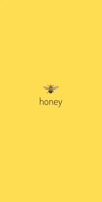 заставка жёлтая пчела honey | Жёлтые обои, Настенные художественные цитаты,  Обои