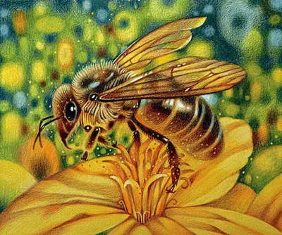 Макро мир пушистая пчела на …» — создано в Шедевруме