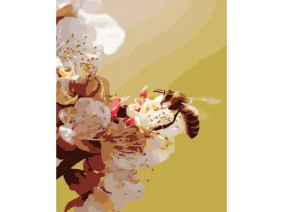 Пчела На Цветке Hard Working - Бесплатное фото на Pixabay - Pixabay