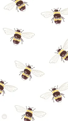 Купить Картина маслом Пчела на цветке 18*24 см | Skrami.ru