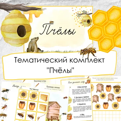 Набор фигурок Жизненный цикл пчелы safari ltd купить детские игрушки в  интернет магазине Монтессори дома