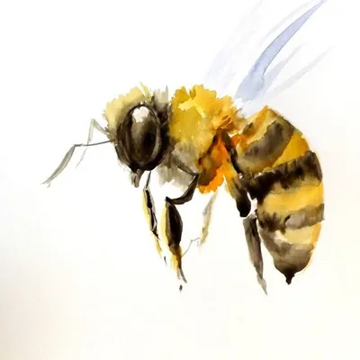 Пчелы, пчелы - острые жала, как …» — создано в Шедевруме