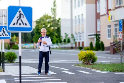 Правила дорожного движения (ПДД) 🚗 для детей в стихах. 🚦 Развивающий  мультик. Урок 7 - YouTube