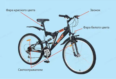 Тесты по ПДД для велосипедистов.: jek_hor — LiveJournal