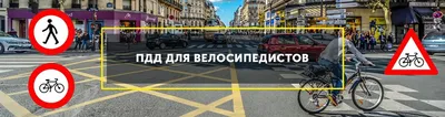 Велосипедист и ПДД — Официальный сайт муниципального образования  Топчихинский район Алтайского края