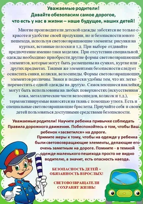 Сотрудники госавтоинспекции провели урок по ПДД для пущинских школьников –  Новости – Отдел социальной защиты населения города Пущино