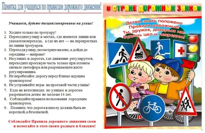 Правила дорожного движения ПДД 2023 - Автошкола СПб «Вектор»