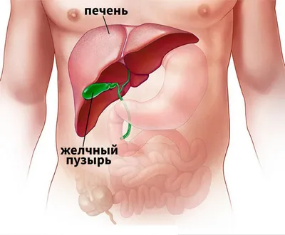 Поражение печени: виды и причины, симптомы и лечение