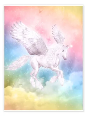 Rainbow Zebra Pegasus Unicorn (All-in-one) by JustSnilloc on DeviantArt