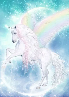 🦄 Pegasus VS Unicorn : Dueling point by point | Kawaii Unicorn