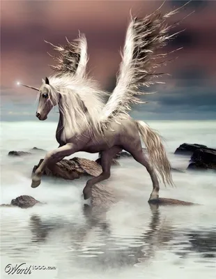 Pegasus Unicorn Painting by Sheila Tibbs - Pixels