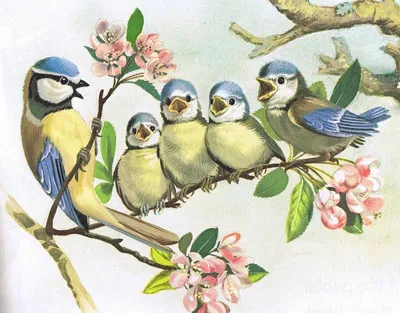 Птицы перелетные картинки для детей | Дети, Для детей, Птицы
