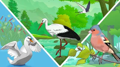 Уроки рисования для детей. Перелетные птицы | Risovashki.TV - Дети и  Родители | Дзен