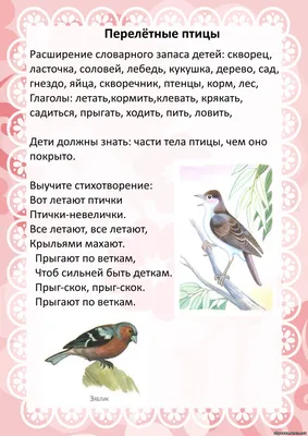 Раскраски Перелетные птицы для детей: распечатать бесплатно или скачать