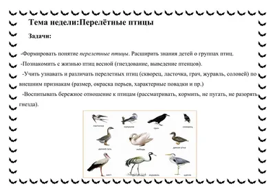 Перелетные птицы для дошкольников (49 фото) - красивые фото и картинки  pofoto.club