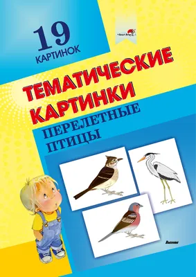 Первые перелетные птицы потянулись из Московского региона на юг - В регионе  - РИАМО в Реутове