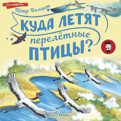 Перелётные птицы Урала | Удоба - бесплатный конструктор образовательных  ресурсов