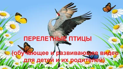 Центр учебных пособий - Плакат \"Перелетные птицы\"