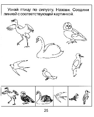 Раскраски перелетные и зимующие птицы (41 фото) » Картинки, раскраски и  трафареты для всех - Klev.CLUB