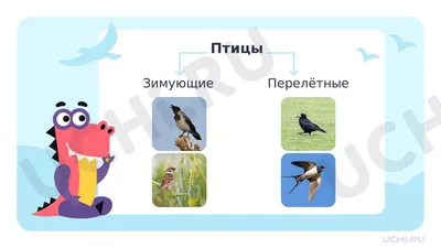 https://uchi.ru/podgotovka-k-uroku/environment_eor/1-klass/quarter-556_4-chetvert/lesson-15631_mir-zhivotnykh-perelyotnye-i-zimuyushchie-ptitsy-gde-zimuyut-ptitsy/worksheets-42183