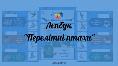 Дошкільнятам та вихователям | До вашої уваги картотека перелітних птахів |  Facebook