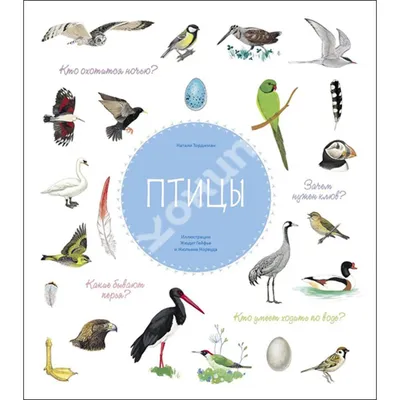 Pin by BabyCard Ukraine. Абетка для д on Презентація. Перелітні птахи  України | Animals, Bird, Cards