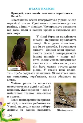 Лепбук \"Перелітні птахи\" - готовий шаблон з карманами і вкладками