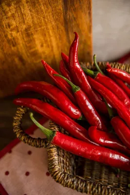 Купить перец красный Чили стручками для настаивания самогона