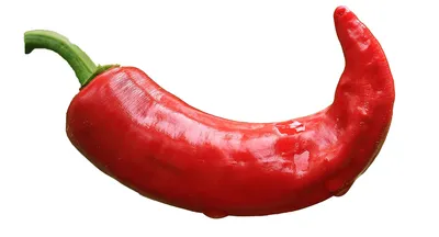 100 шт. Зеленые Мини Искусственные перец Чили красные пластиковые  поддельные овощи реквизит для фотосъемки искусственный маленький чили для  кухни | AliExpress