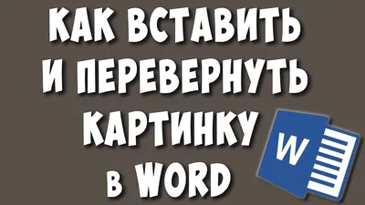 Как перевернуть видео ВКонтакте и сохранить?: Санкт-Петербург