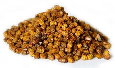 Перга – цена за 100 г. Купить пчелиную пергу в интернет-магазине У Елыча
