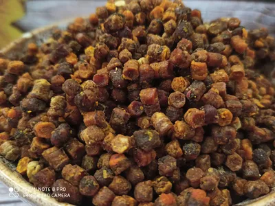 Перга пчелиная -100 грамм купить в магазине, цена в каталоге ФермерФуд