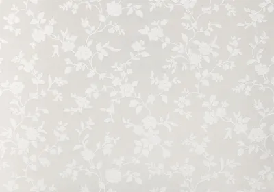 Бежево-перламутровые обои с белыми цветами York Keepsake GP7333 | купить в  Москве, цены, фото