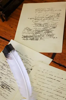 Винтажный фон бумаги с пером ручкой и цветочной рамкой, старинный документ,  старая бумага, Бумага фон картинки и Фото для бесплатной загрузки